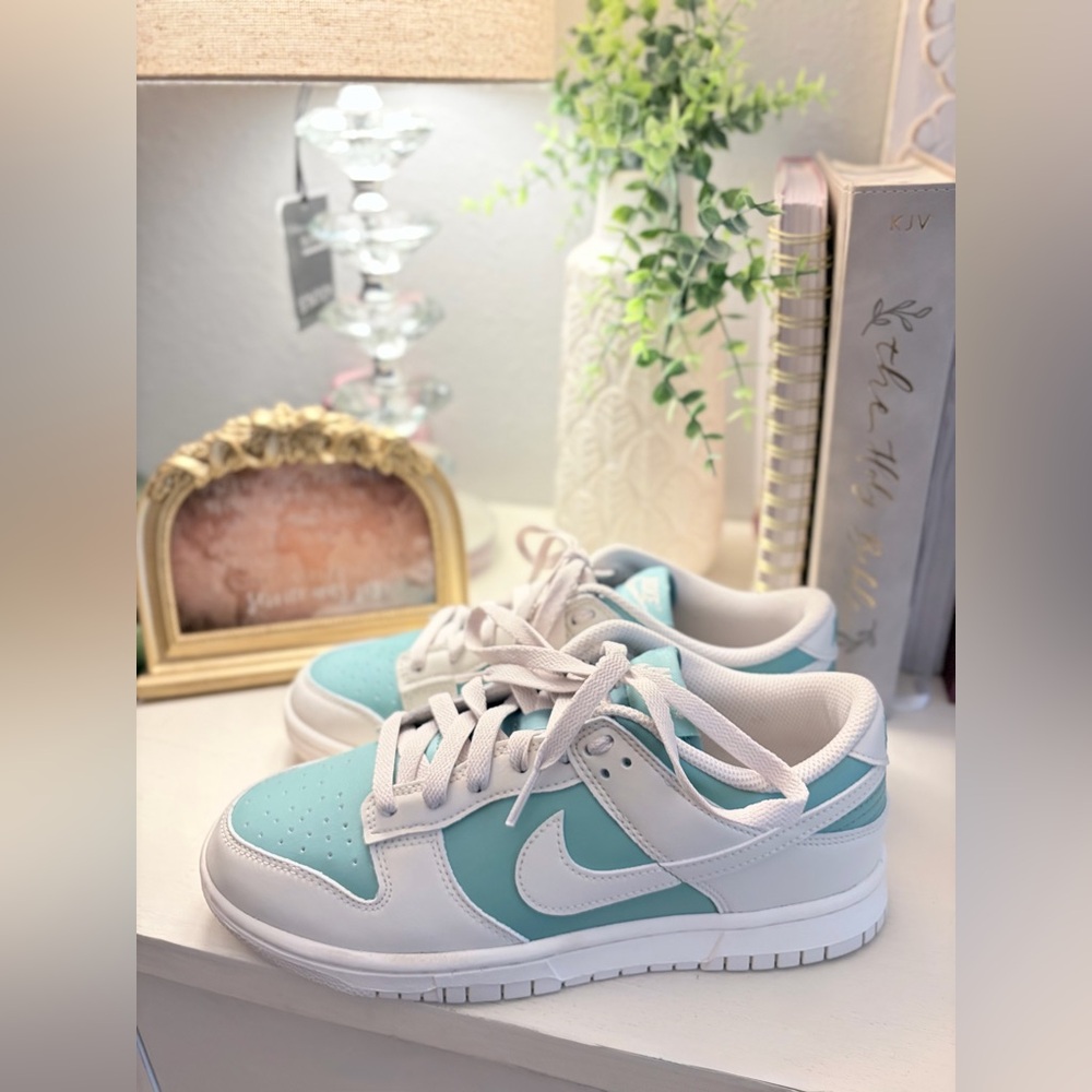 Nike Dunk lows
